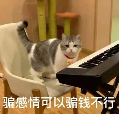 DƬ
